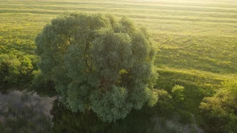 Aerial view of the river and landscape Stock Footage 200004694