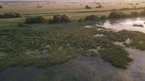 Aerial view of the river and landscape Stock Footage 202285256