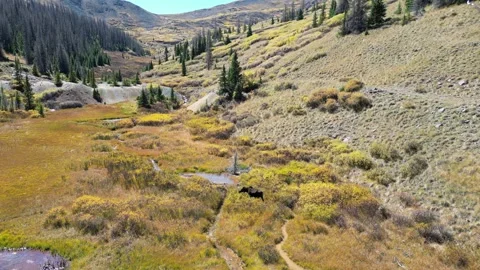 Aerial View of River and Mountain Near Silverton, Colorado Stock Footage 274511447