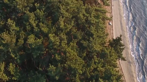 Aerial view of the river and mountain Video stock 306040464