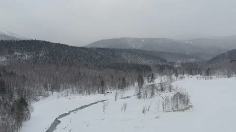 Aerial view of a river and pine forest covered in snow. Hokkaido, Japan Stock Footage 201276457