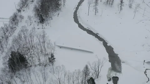 Aerial view of a river and pine forest covered in snow. Hokkaido, Japan Stock Footage 201294902