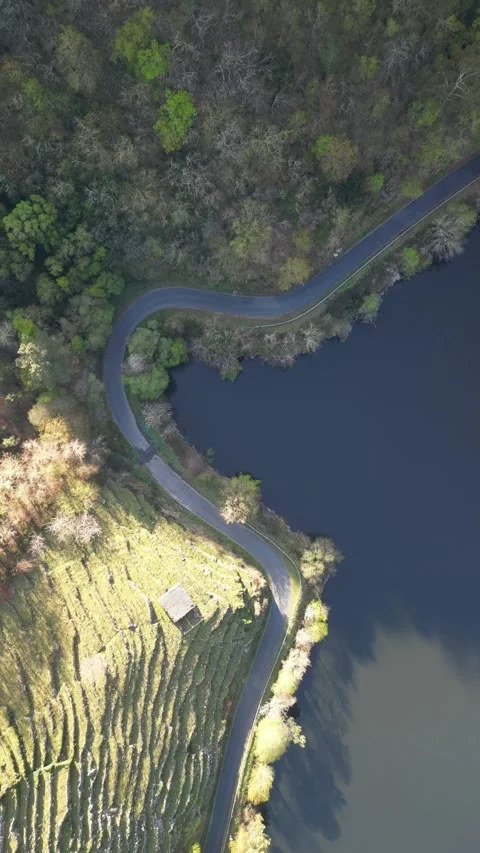 Aerial view of the river and road, Ribeira Sacra, Spain. Stock Footage 314258658