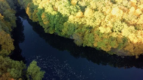 Aerial view on the river and tree . Stock-Footage 97185642