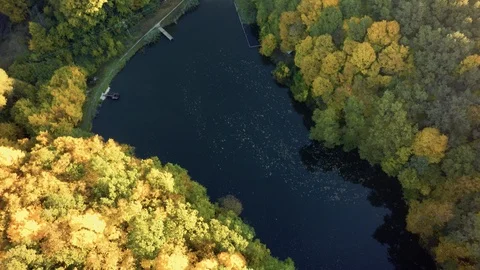 Aerial view on the river and tree . Stock Footage 97187397