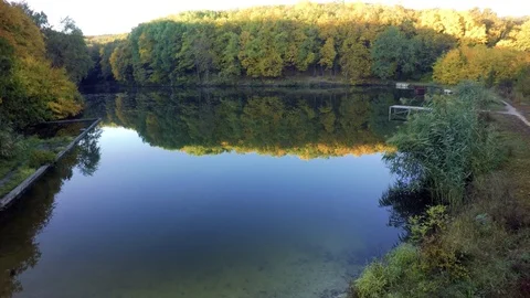 Aerial view on the river and tree . Stock-Footage 97187933