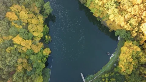 Aerial view on the river and tree . Video stock 97188350