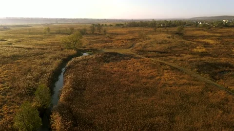 Aerial view on the river and tree in Stock Footage 143725315
