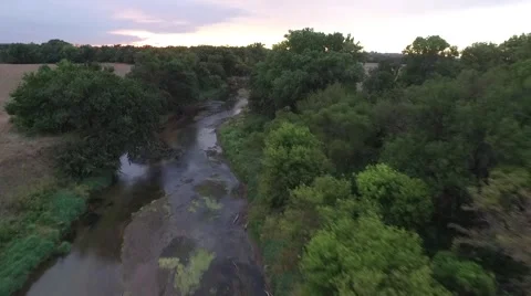 Aerial View of River and Trees Stock Footage 64978282
