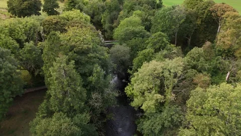 Aerial view of river and trees in Durrow County Laois Vidéo 333414955