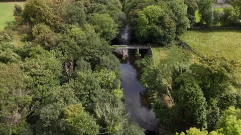 Aerial view of river and trees in Durrow County Laois 库存影片 333414989