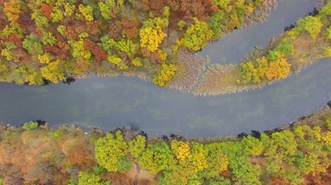 Aerial view of river in autumn forest Stock Footage 56721753