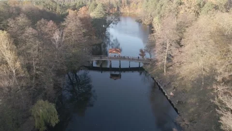 Aerial view of the river in autumn mixed forest in the national park Stock Footage 149240937