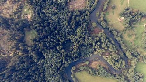 Aerial view of river bend through forest. Stock Photos
