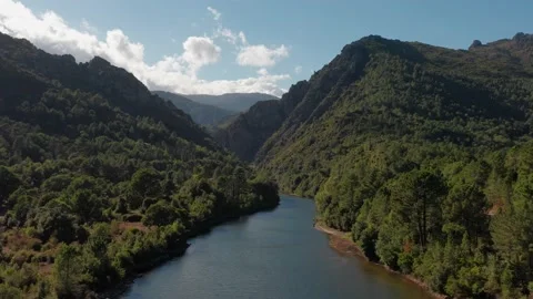 Aerial view of a river between mountain. Green mountain with pine forest. Flying 動画素材 157261476