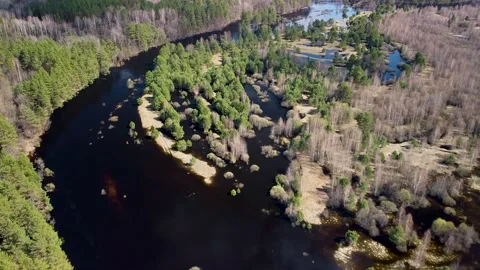 Aerial view of the river between the pines Stock Footage 188884324