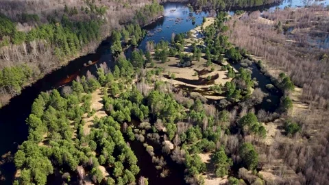 Aerial view of the river between the pines Stock Footage 188884559