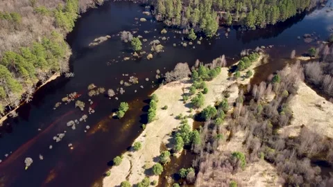 Aerial view of the river between the pines Stock Footage 188885404