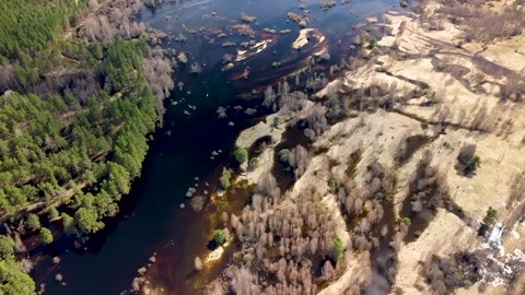 Aerial view of the river between the pines Stock Footage 188885969