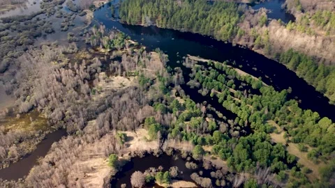 Aerial view of the river between the pines Stock Footage 188886842