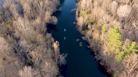 Aerial view of the river between the pines Stock Footage 188890057