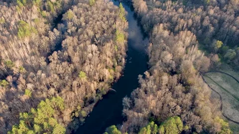 Aerial view of the river between the pines Stock Footage 188892111
