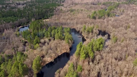 Aerial view of the river between the pines Stock Footage 190024874