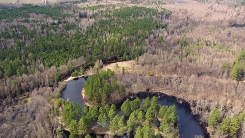 Aerial view of the river between the pines Stock-Footage 190025291