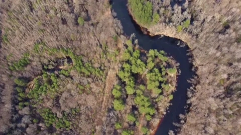 Aerial view of the river between the pines Stock Footage 190026376