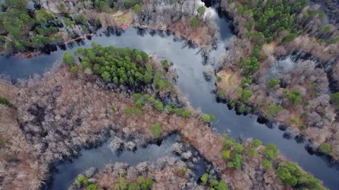 Aerial view of the river between the pines Stock Footage 190031016
