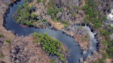 Aerial view of the river between the pines Stock Footage 190031448
