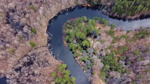 Aerial view of the river between the pines Stock Footage 190031994