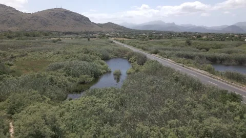 Aerial View of River Canal Through Green Wetland, Maristany, Mallorca Stock Footage 340589490