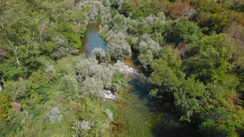 Aerial view of river with clear shallow water flowing through green summer Stock Footage 279937897