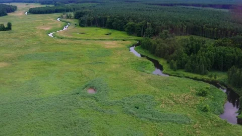 Aerial view of the river covered with dense forests Stock Footage 278866875