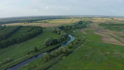 Aerial view of river covered with forests Stock Footage 278983513