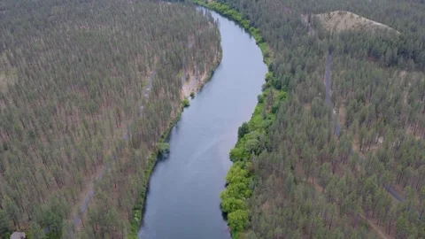 Aerial view of a river curving through vast pine forest near Spokane Stock-Footage 341669334