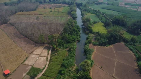 Aerial view of the river cutting through the rice fields and farmland in country Stock Footage 234301862
