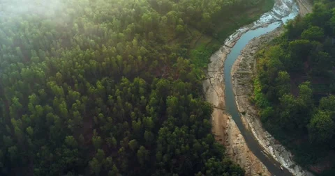 Aerial view of river cutting through misty jungle at sunrise Video stock 332754921