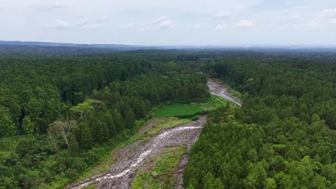 Aerial view of a river cutting through dense forest Stock Footage 335665695