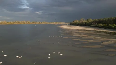Aerial view of river Danube 動画素材 285314485