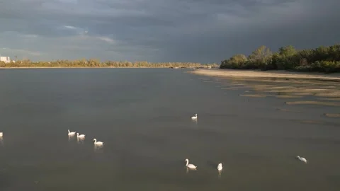 Aerial view of river Danube 動画素材 285314820