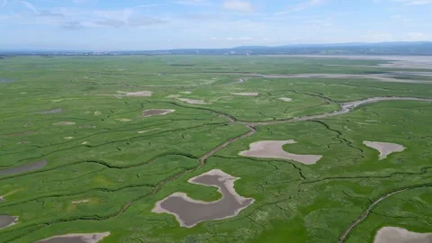 Aerial view of River Dee estuary wetlands with Welsh mountains in background Stock Footage 328268893