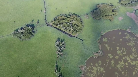 Aerial view of the river delta Stock Footage 77624592