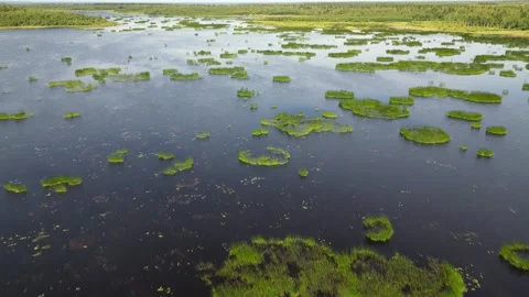 Aerial view of river delta scenery in Hiastinhaara, Ii Finland Stock-Footage 313110355