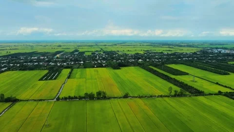 Aerial view of a river dividing vast countryside rice fields Stock Footage 337526908