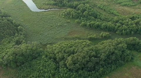 Aerial view of river, fields and forest. Flying camera Stock Footage 40412172