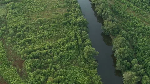 Aerial view of river, fields and forest. Flying camera Stock Footage 40412382