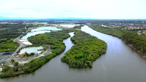 Aerial View River with a flock of birds Stock Footage 152007404