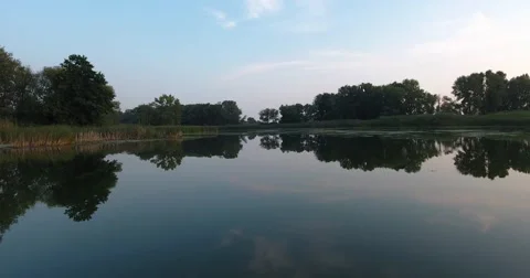 Aerial view of river flow between banks with plenty reeds. Skyline. Clear sky Stock Footage 68664119